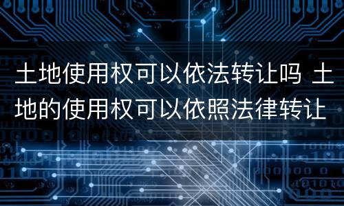 土地使用权可以依法转让吗 土地的使用权可以依照法律转让吗