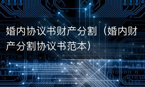 婚内协议书财产分割（婚内财产分割协议书范本）