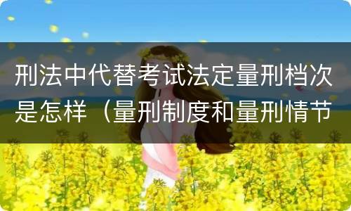 刑法中代替考试法定量刑档次是怎样（量刑制度和量刑情节有什么区别）