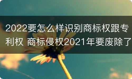 2022要怎么样识别商标权跟专利权 商标侵权2021年要废除了吗