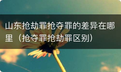山东抢劫罪抢夺罪的差异在哪里（抢夺罪抢劫罪区别）