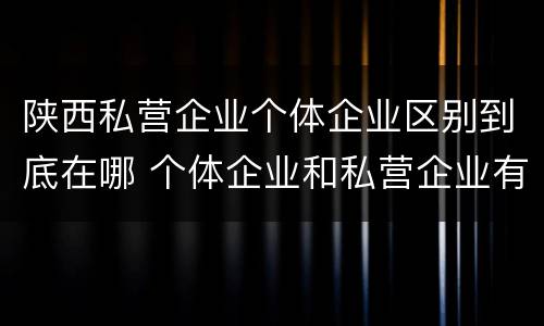 陕西私营企业个体企业区别到底在哪 个体企业和私营企业有哪些