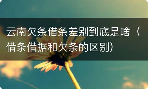 云南欠条借条差别到底是啥（借条借据和欠条的区别）