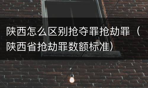陕西怎么区别抢夺罪抢劫罪（陕西省抢劫罪数额标准）
