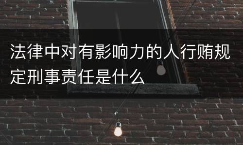 法律中对有影响力的人行贿规定刑事责任是什么