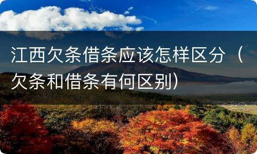 江西欠条借条应该怎样区分（欠条和借条有何区别）