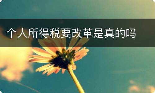 个人所得税要改革是真的吗