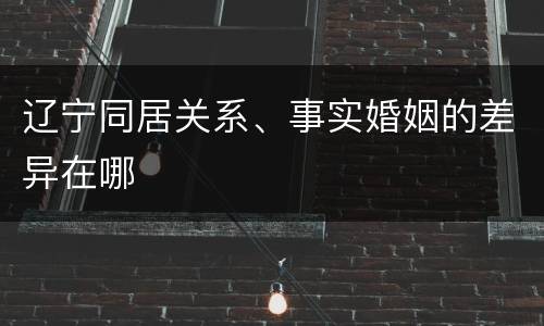 辽宁同居关系、事实婚姻的差异在哪