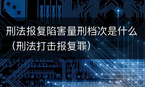 刑法报复陷害量刑档次是什么（刑法打击报复罪）
