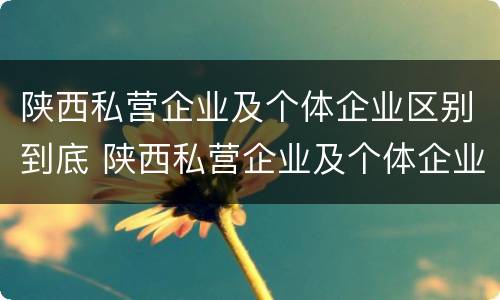 陕西私营企业及个体企业区别到底 陕西私营企业及个体企业区别到底是什么