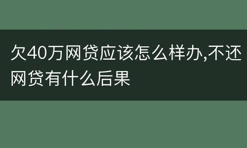 欠40万网贷应该怎么样办,不还网贷有什么后果
