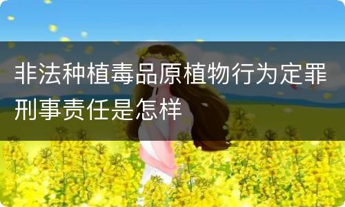 非法种植毒品原植物行为定罪刑事责任是怎样