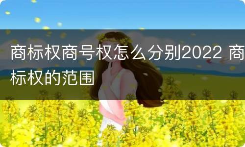 商标权商号权怎么分别2022 商标权的范围
