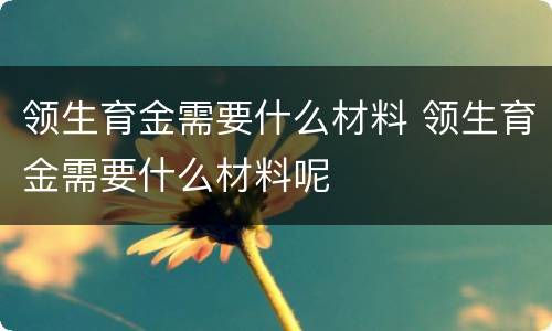 领生育金需要什么材料 领生育金需要什么材料呢