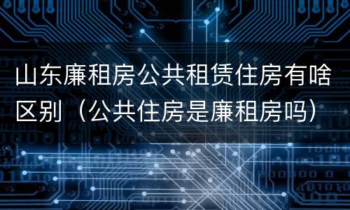 山东廉租房公共租赁住房有啥区别（公共住房是廉租房吗）