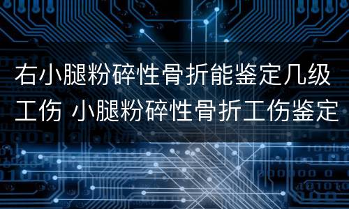 右小腿粉碎性骨折能鉴定几级工伤 小腿粉碎性骨折工伤鉴定能评上几级