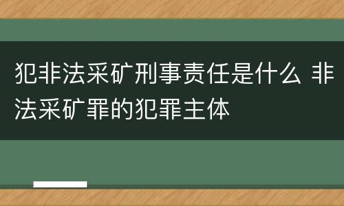 犯非法采矿刑事责任是什么 非法采矿罪的犯罪主体