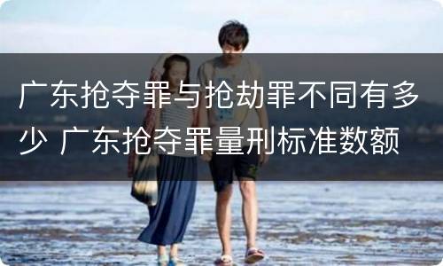广东抢夺罪与抢劫罪不同有多少 广东抢夺罪量刑标准数额