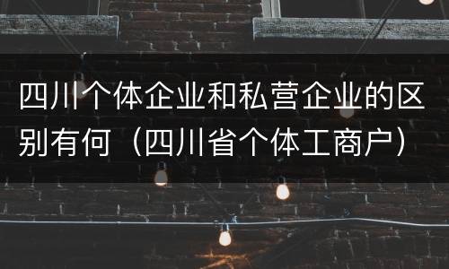 四川个体企业和私营企业的区别有何（四川省个体工商户）