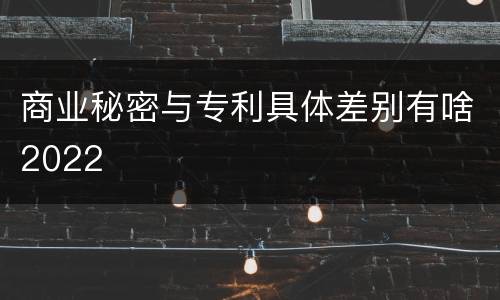 商业秘密与专利具体差别有啥2022
