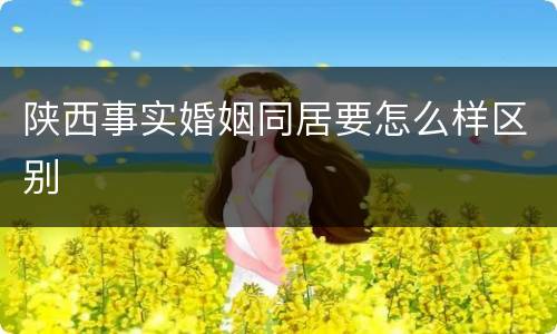 陕西事实婚姻同居要怎么样区别
