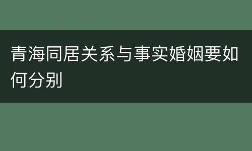 青海同居关系与事实婚姻要如何分别