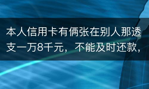 本人信用卡有俩张在别人那透支一万8千元，不能及时还款，能起诉吗