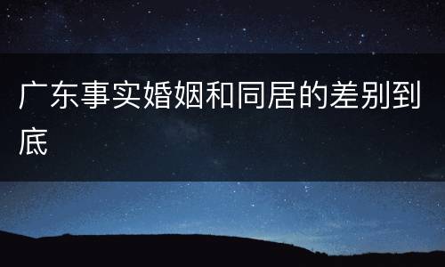 广东事实婚姻和同居的差别到底