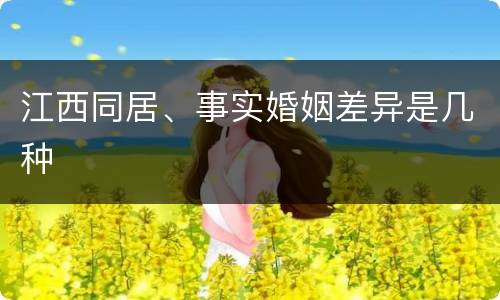江西同居、事实婚姻差异是几种
