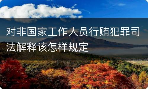 对非国家工作人员行贿犯罪司法解释该怎样规定