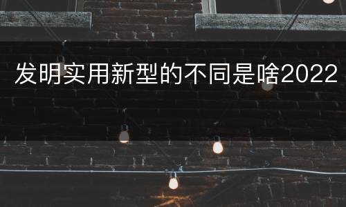 发明实用新型的不同是啥2022