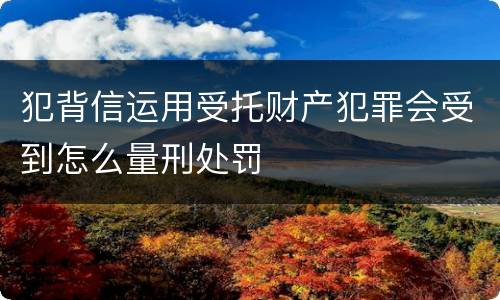 犯背信运用受托财产犯罪会受到怎么量刑处罚