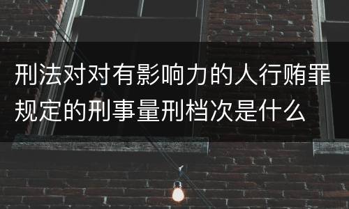 刑法对对有影响力的人行贿罪规定的刑事量刑档次是什么