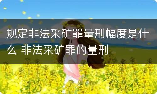 规定非法采矿罪量刑幅度是什么 非法采矿罪的量刑