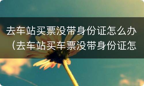 去车站买票没带身份证怎么办（去车站买车票没带身份证怎么办）