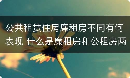 公共租赁住房廉租房不同有何表现 什么是廉租房和公租房两个有什么特点
