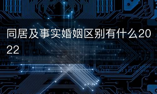 同居及事实婚姻区别有什么2022