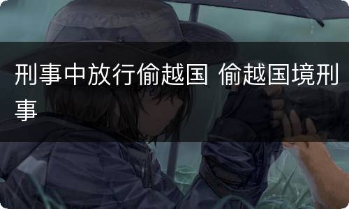 刑事中放行偷越国 偷越国境刑事