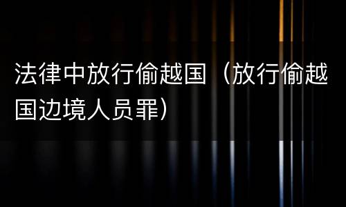 法律中放行偷越国（放行偷越国边境人员罪）
