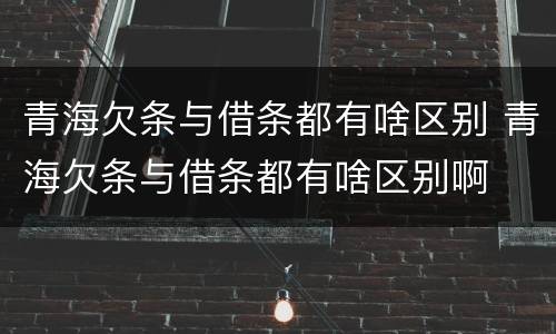 青海欠条与借条都有啥区别 青海欠条与借条都有啥区别啊
