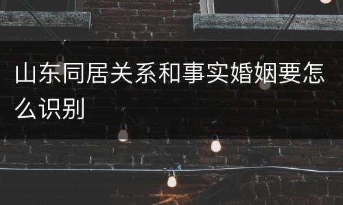 山东同居关系和事实婚姻要怎么识别