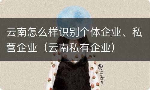 云南怎么样识别个体企业、私营企业（云南私有企业）