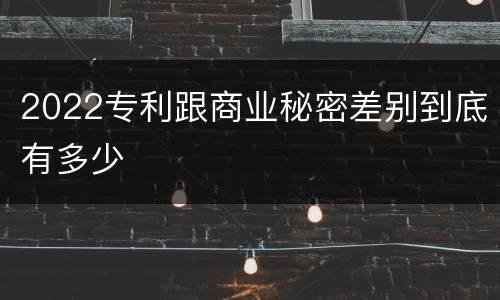 2022专利跟商业秘密差别到底有多少