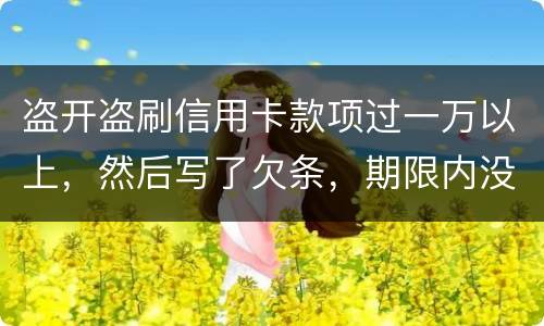 盗开盗刷信用卡款项过一万以上,然后写了欠条,期限内没还,可以立案并且起诉吗