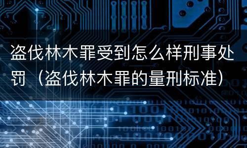 盗伐林木罪受到怎么样刑事处罚（盗伐林木罪的量刑标准）