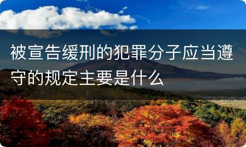 被宣告缓刑的犯罪分子应当遵守的规定主要是什么