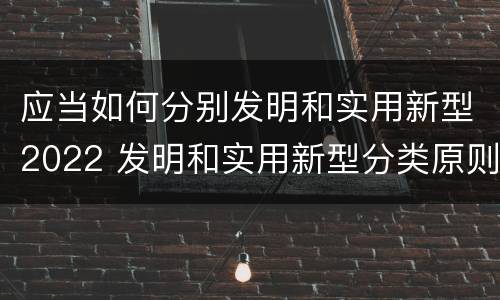 应当如何分别发明和实用新型2022 发明和实用新型分类原则