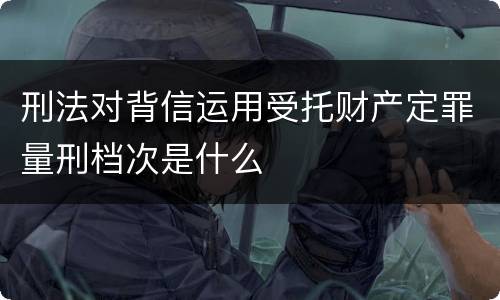 刑法对背信运用受托财产定罪量刑档次是什么