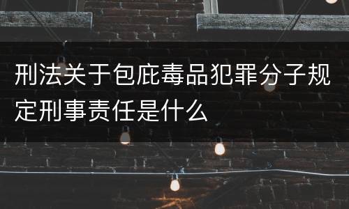 刑法关于包庇毒品犯罪分子规定刑事责任是什么
