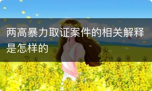 两高暴力取证案件的相关解释是怎样的